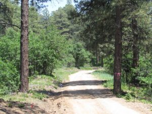 Road in Timberdale Ranch